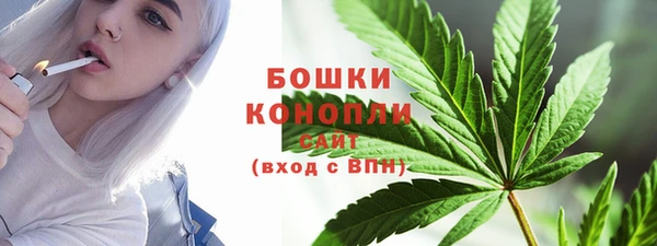 спиды Богданович