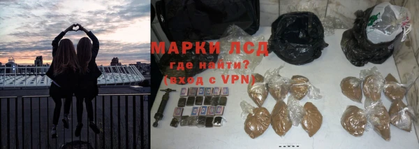 спиды Богданович