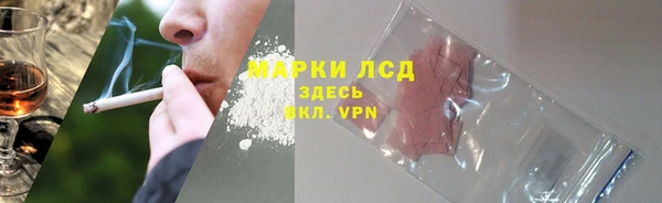 спиды Богданович