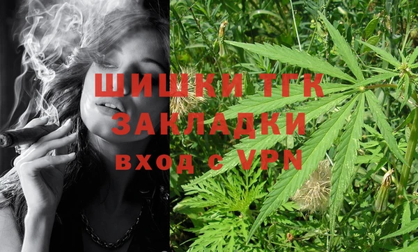 спиды Богданович