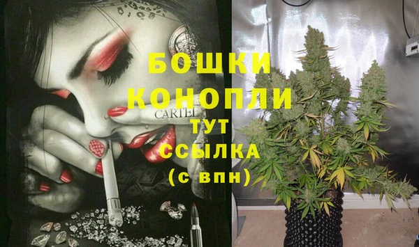 спиды Богданович
